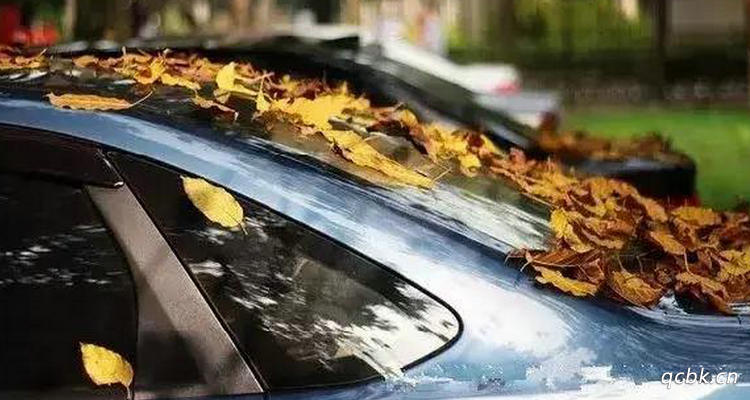 樹(shù)油滴在車(chē)上對(duì)車(chē)漆有什么影響