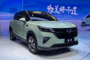 五菱星辰suv2022款價(jià)格及圖片 五菱星辰suv2022款新車售價(jià)6.98萬
