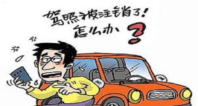 實(shí)習(xí)期上高速怎么處罰，安全無保障一切都為零