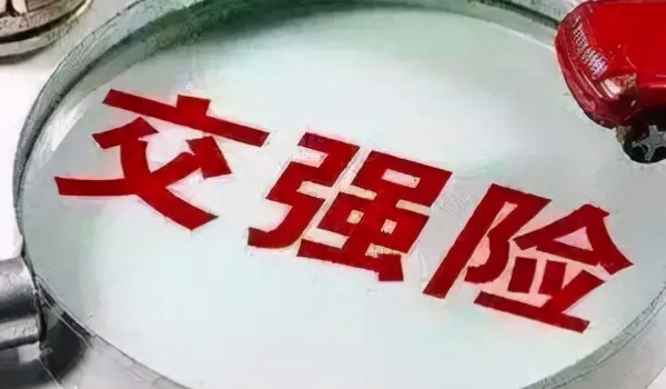 一般車險都買那些 根據實際使用用車情況購買（交強險/商業險）