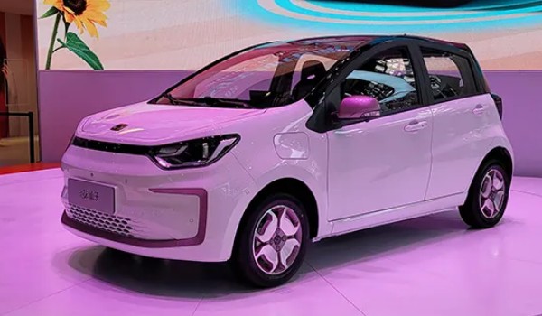 花仙子電動(dòng)汽車價(jià)格圖片 2023款花仙子售價(jià)6萬(落地價(jià)7萬)